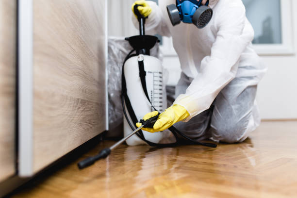 Best Pest Removal Services  in Earlysville, VA