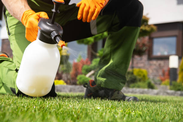 Flea Control Services in Earlysville, VA