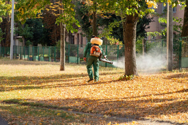 Best Flea Control Services  in Earlysville, VA
