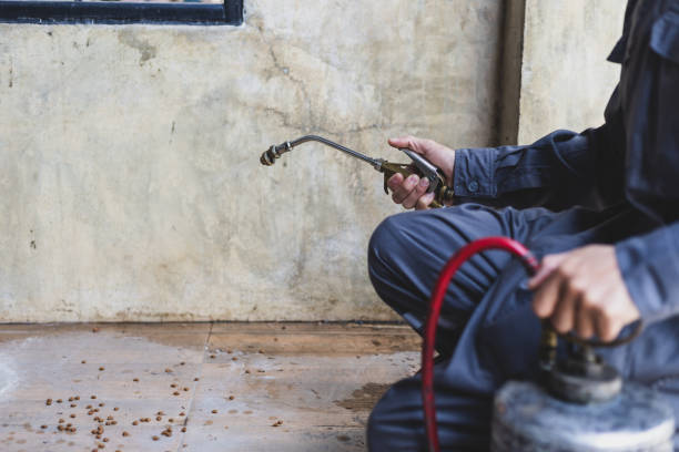Best Pest Control for Homes  in Earlysville, VA